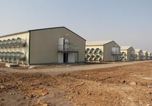 Здание для птицеводства