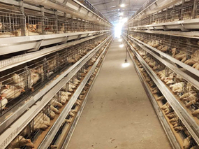 Система клеток для слоев